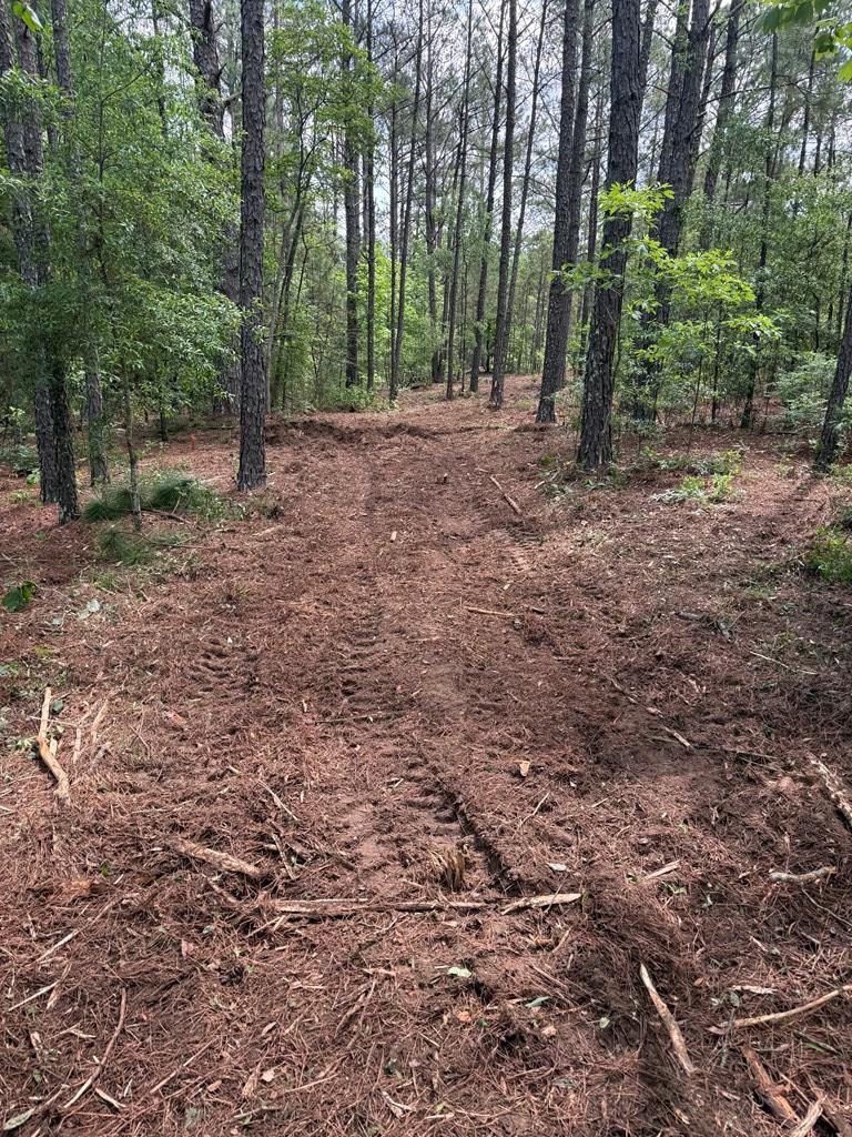 0 Bridle Path Lane Box Springs, GA 31801 - Photo 10 of 15 a view of outdoor space with trees