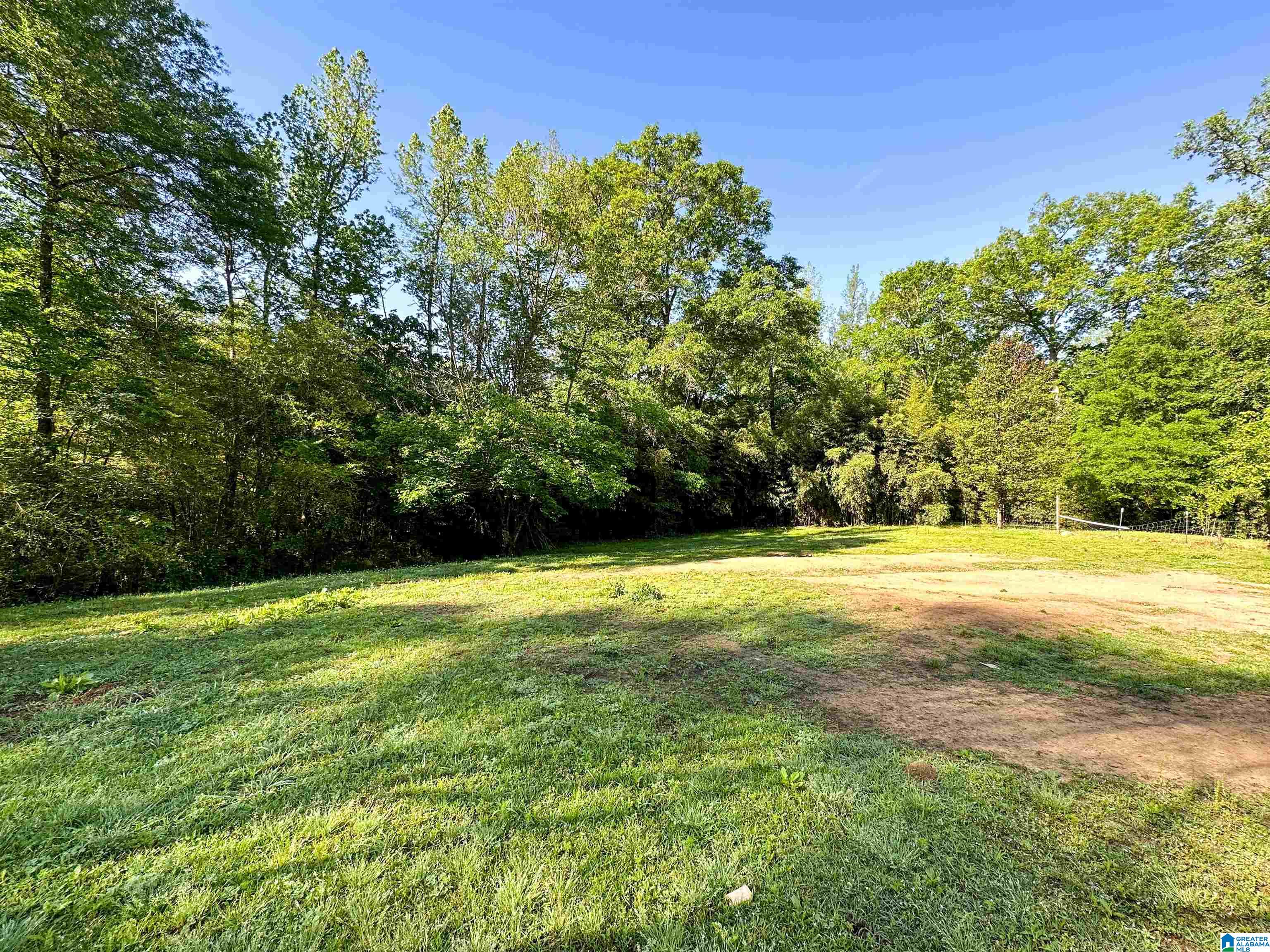 22885 Highway 231 Ragland, AL 35131 - Photo 7 of 29