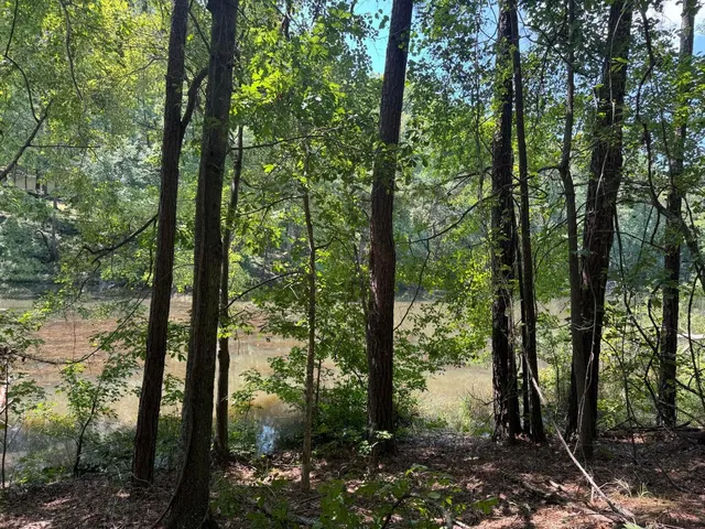 $20,000 | Lot 2 Cardinal Drive, Trenton, SC 29847