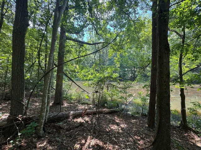 $20,000 | Lot 2 Cardinal Drive, Trenton, SC 29847