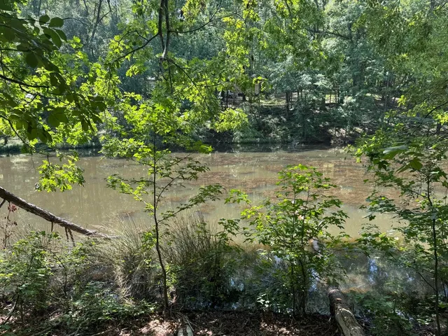 $20,000 | Lot 2 Cardinal Drive, Trenton, SC 29847