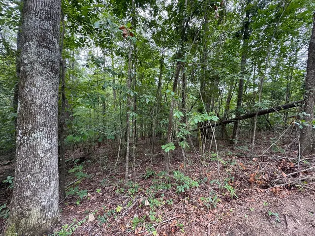 $20,000 | Lot 2 Cardinal Drive, Trenton, SC 29847