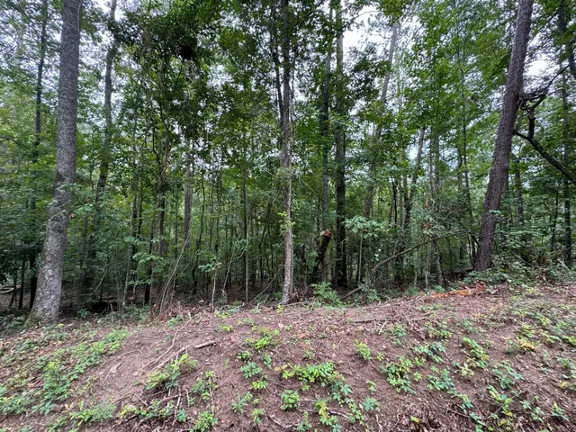 $20,000 | Lot 2 Cardinal Drive, Trenton, SC 29847