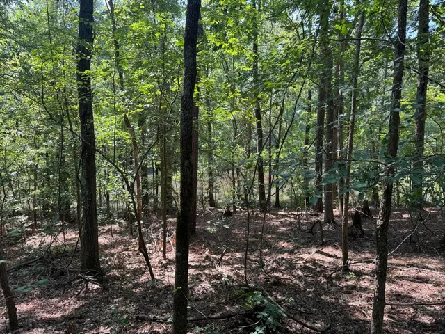 $20,000 | Lot 2 Cardinal Drive, Trenton, SC 29847