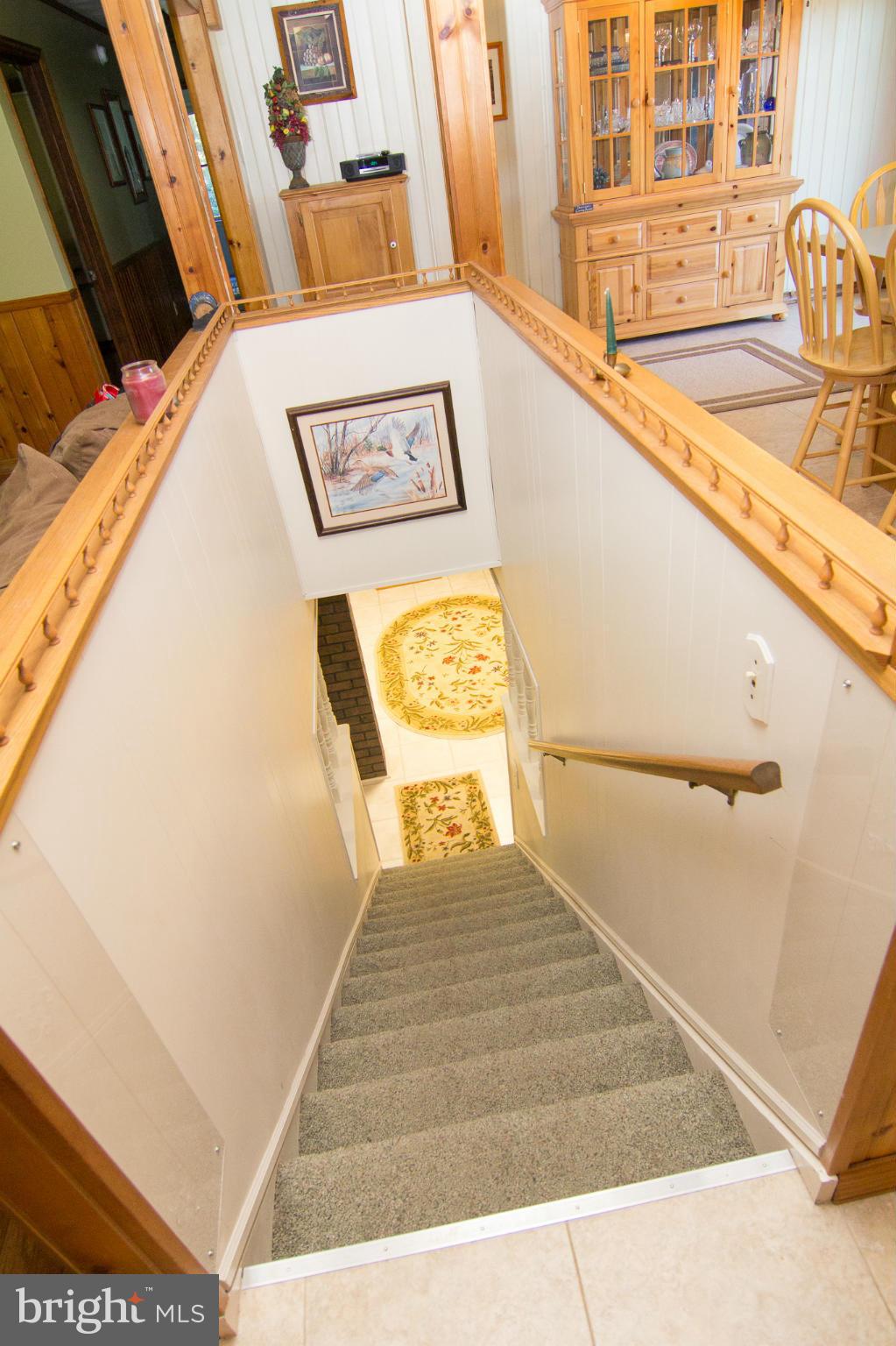 1918 Tyrone Road Westminster, MD 21158 - Photo 23 of 30 Steps to Recreation/Clubroom in Lower Level