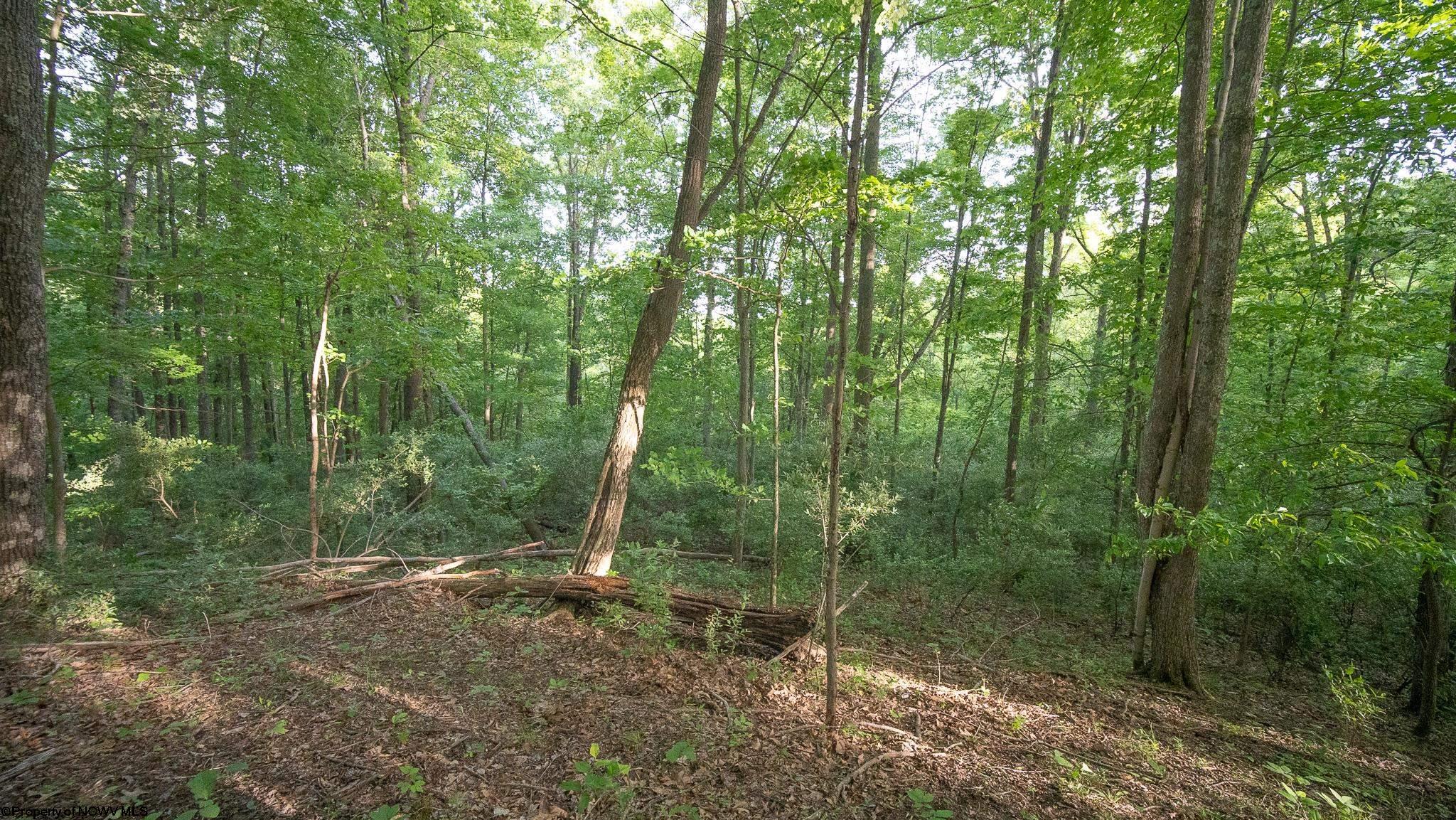 Lot 4 Rocco Run Walkersville, WV 26447 - Photo 11 of 27 Gallery Image 11