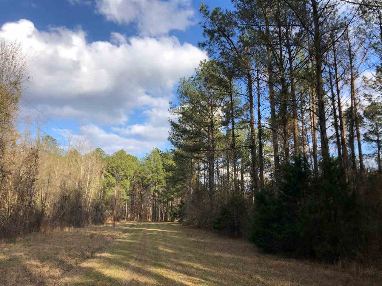 898 Coal Bluff Road Lena, MS 39094 - Photo 15 of 17 Photo 15
