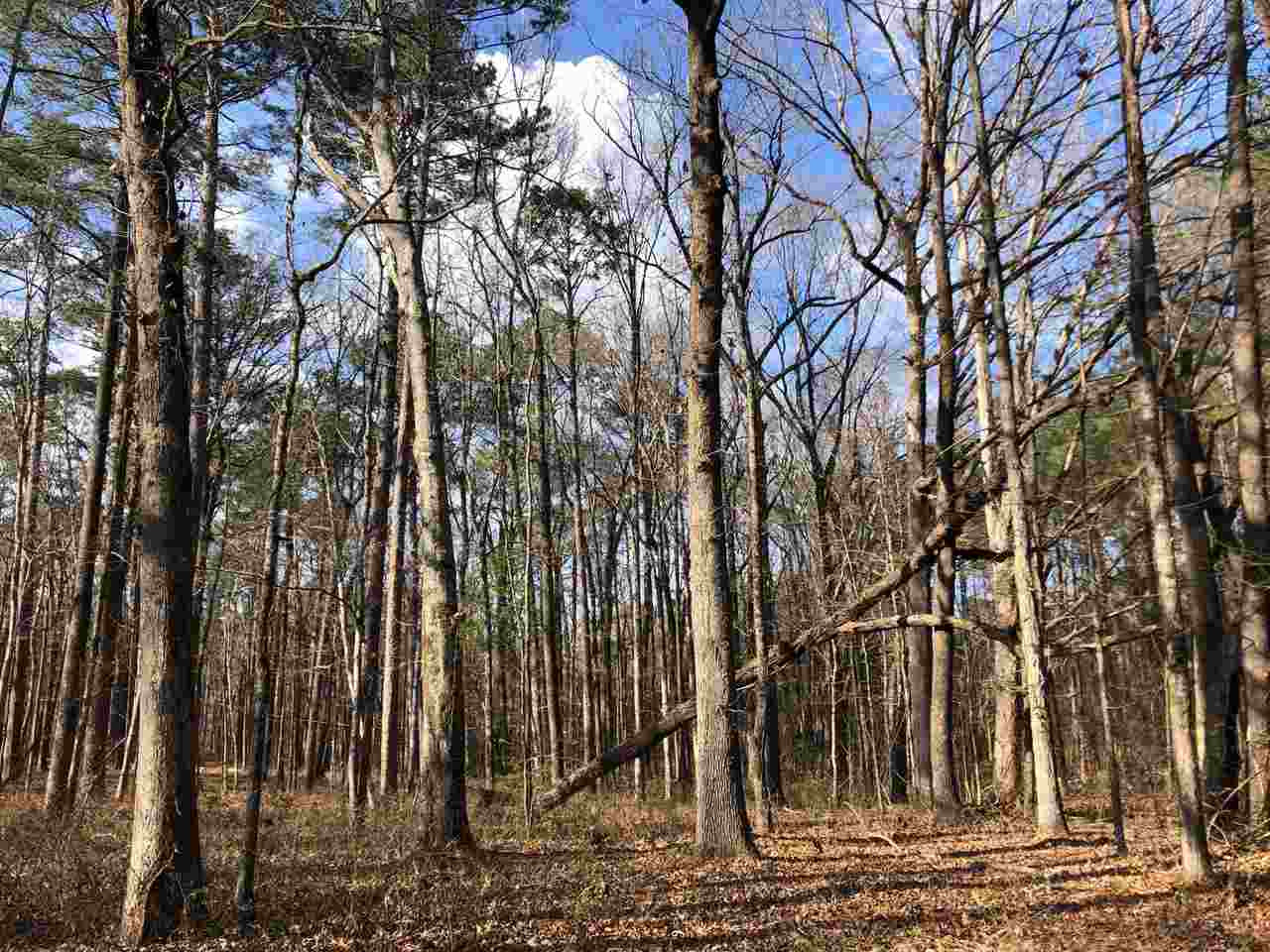 898 Coal Bluff Road Lena, MS 39094 - Photo 2 of 17 Photo 2