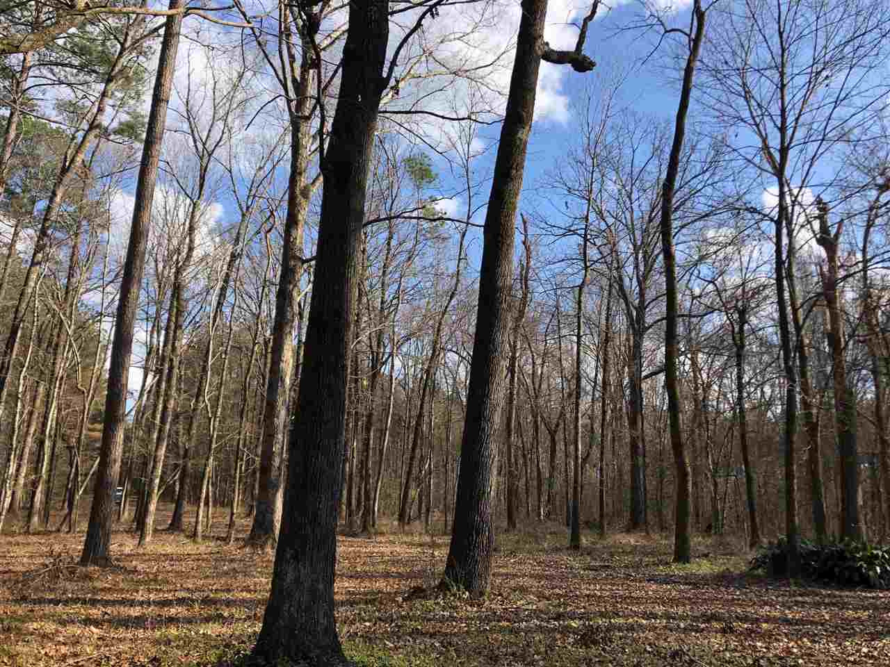 898 Coal Bluff Road Lena, MS 39094 - Photo 4 of 17 Photo 4