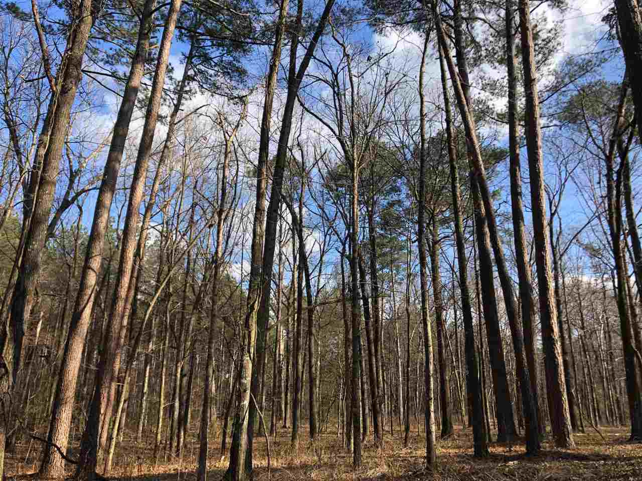 898 Coal Bluff Road Lena, MS 39094 - Photo 5 of 17 Photo 5