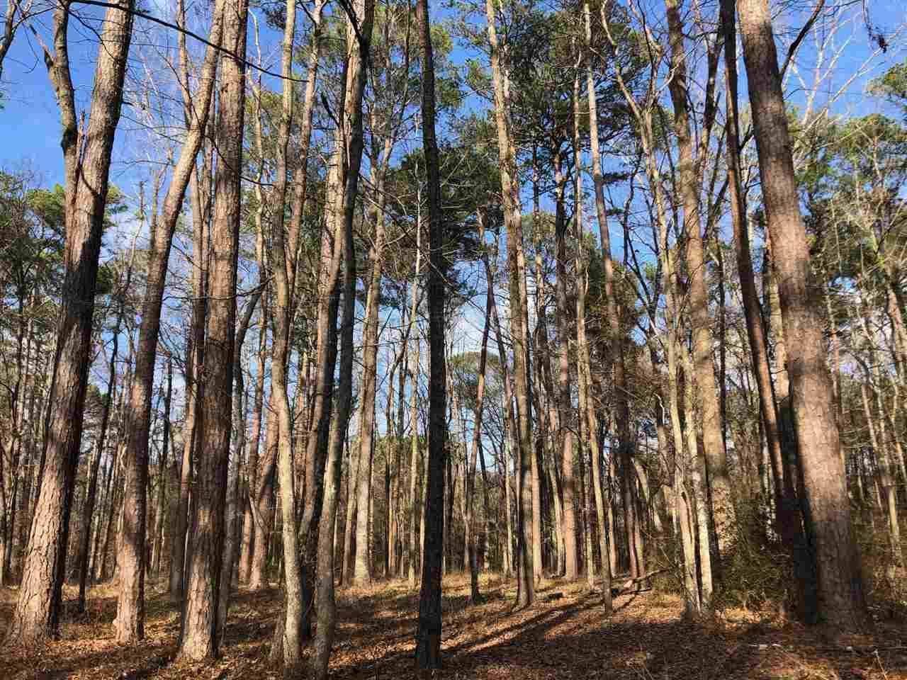 898 Coal Bluff Road Lena, MS 39094 - Photo 7 of 17 Photo 7