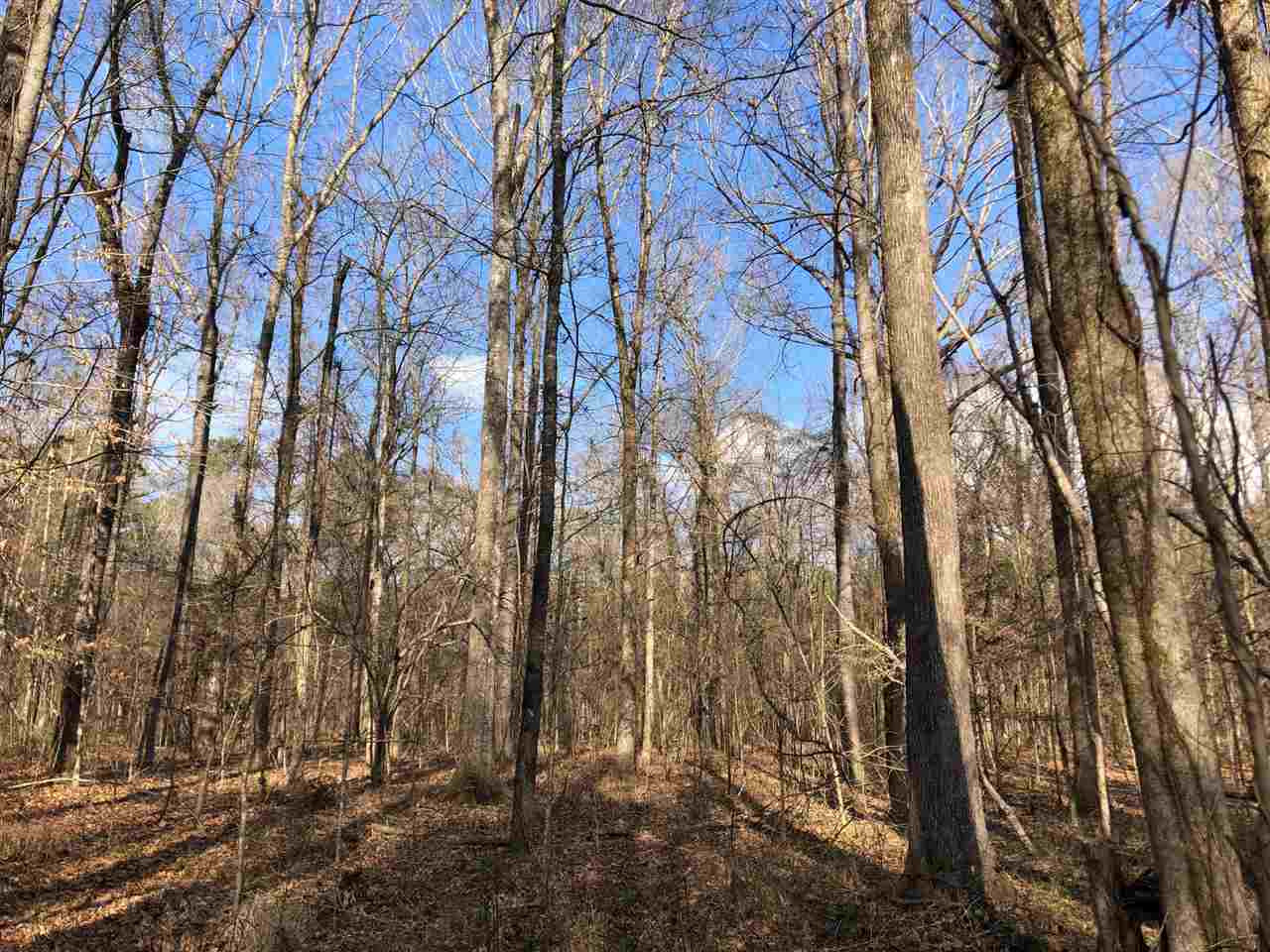 898 Coal Bluff Road Lena, MS 39094 - Photo 8 of 17 Photo 8