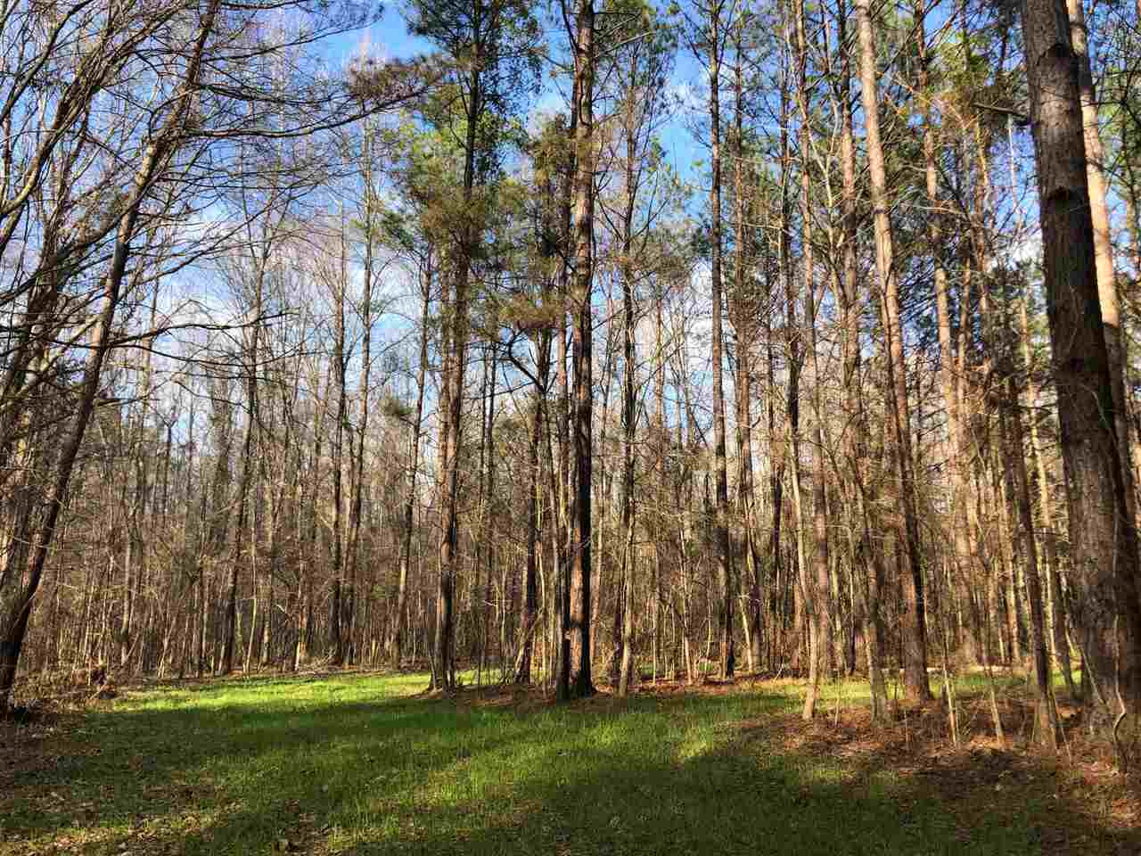 898 Coal Bluff Road Lena, MS 39094 - Photo 9 of 17 Photo 9