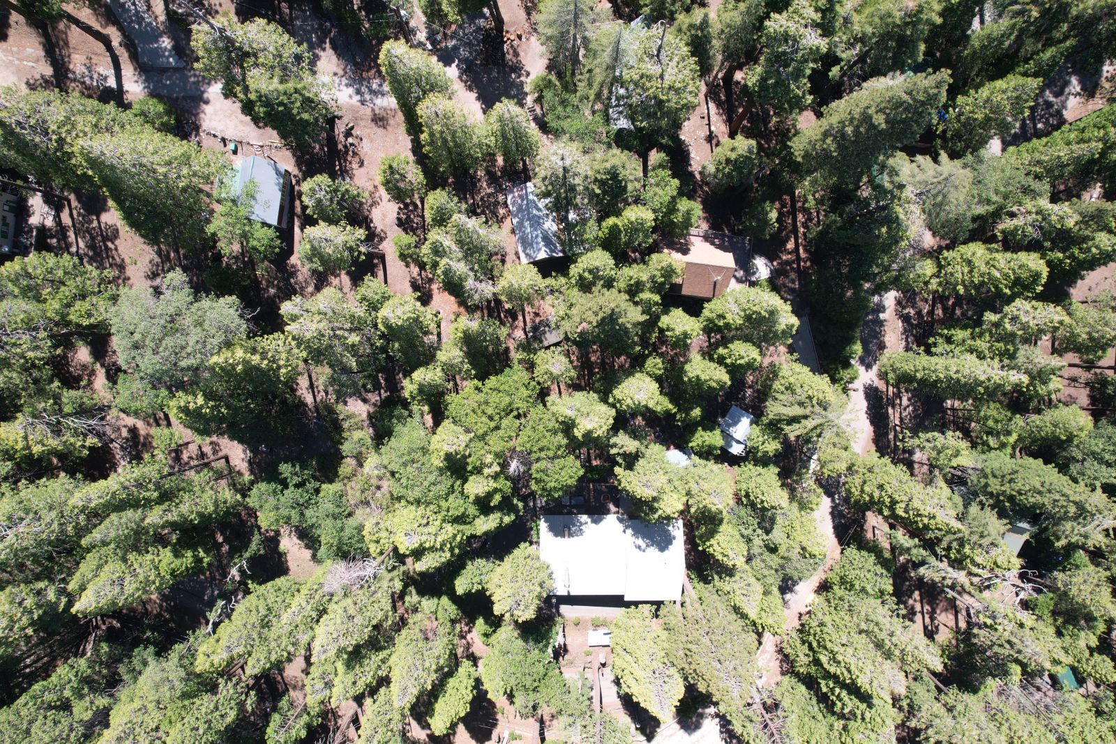 8637 Old State Road Wofford Heights, CA 93285 - Photo 4 of 12