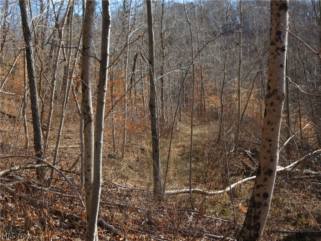 Green Valley Road Guysville, OH 45735 - Photo 8 of 15 Gallery Image 8