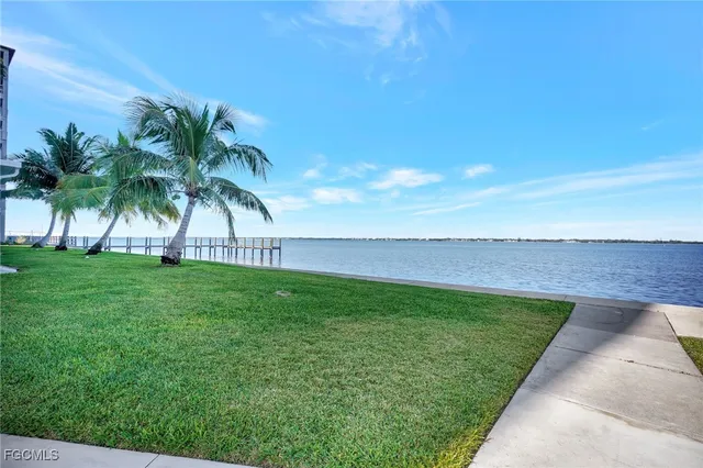 a view of a yard with a palm tree