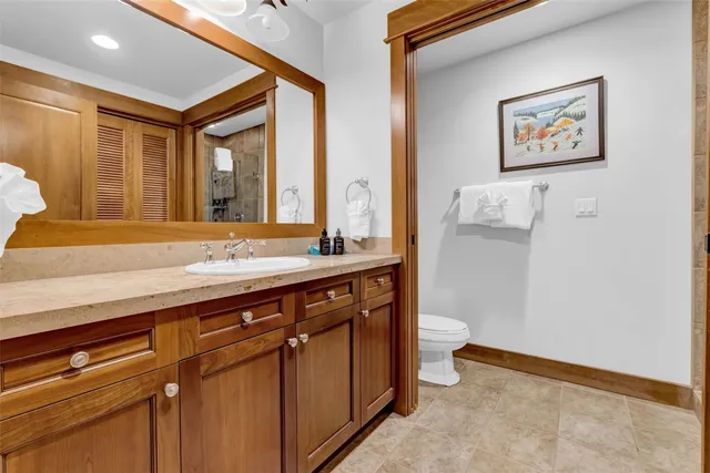 a bathroom with a sink a toilet and a large mirror