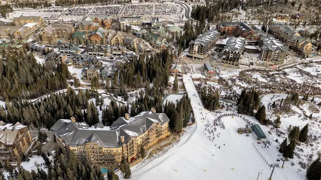 a view of outdoor space with garden