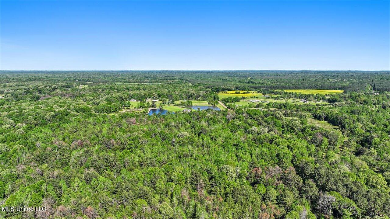 0 Worrell Road Utica, MS 39175 - Photo 12 of 24 11-0 Worrell Rd