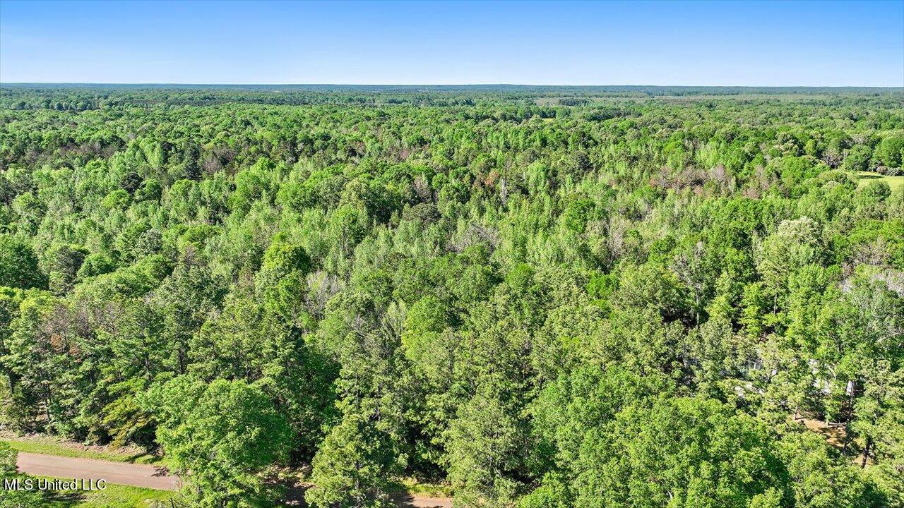 0 Worrell Road Utica, MS 39175 - Photo 19 of 24 18-0 Worrell Rd