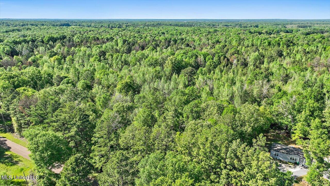 0 Worrell Road Utica, MS 39175 - Photo 20 of 24 19-0 Worrell Rd