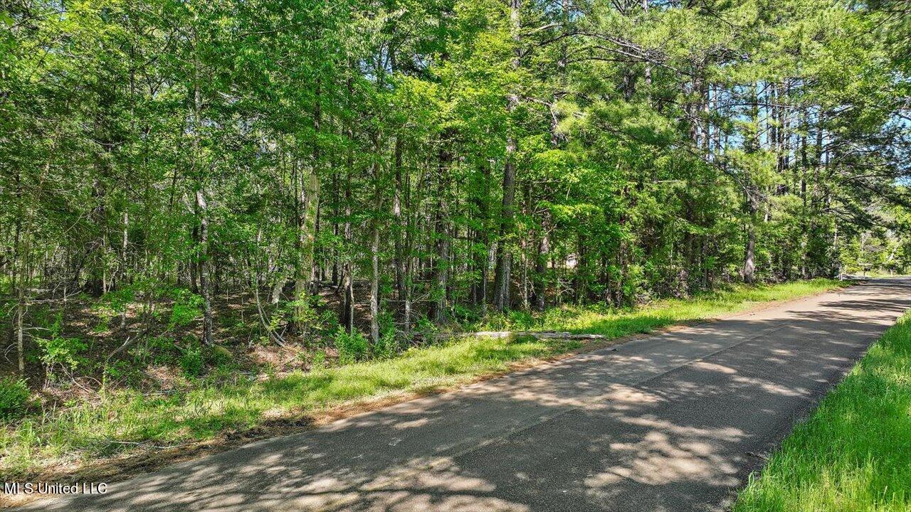 0 Worrell Road Utica, MS 39175 - Photo 2 of 24 01-0 Worrell Rd