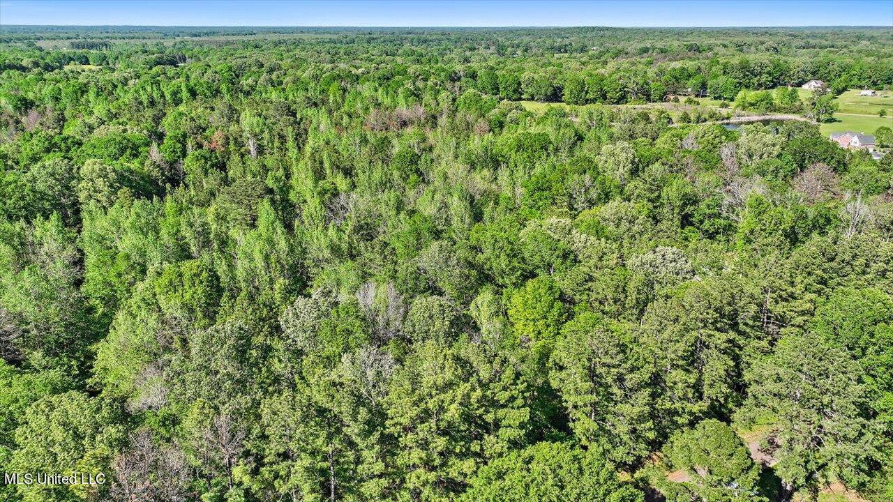 0 Worrell Road Utica, MS 39175 - Photo 21 of 24 20-0 Worrell Rd
