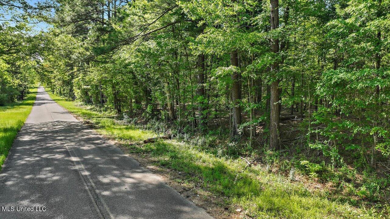 0 Worrell Road Utica, MS 39175 - Photo 22 of 24 24-0 Worrell Rd