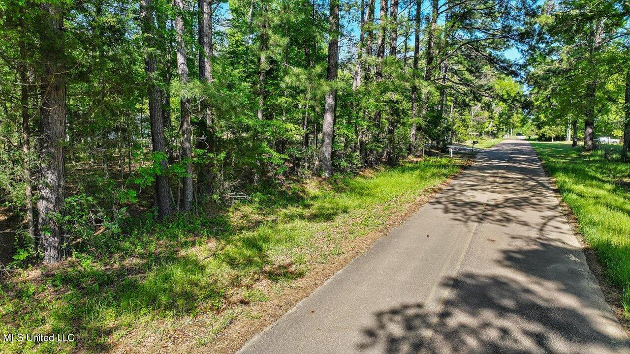 0 Worrell Road Utica, MS 39175 - Photo 23 of 24 25-0 Worrell Rd