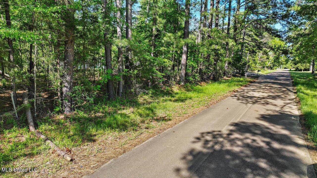 0 Worrell Road Utica, MS 39175 - Photo 24 of 24 26-0 Worrell Rd