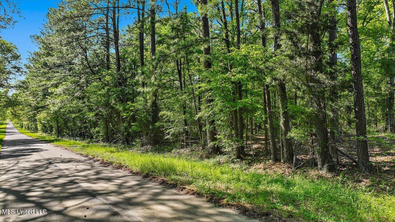 0 Worrell Road Utica, MS 39175 - Photo 3 of 24 02-0 Worrell Rd