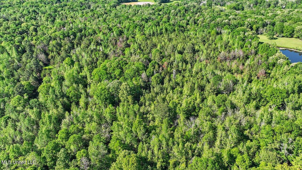 0 Worrell Road Utica, MS 39175 - Photo 7 of 24 06-0 Worrell Rd