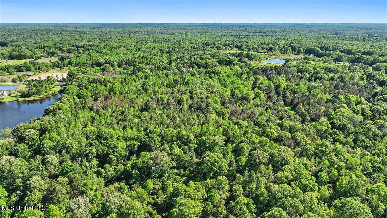 0 Worrell Road Utica, MS 39175 - Photo 10 of 24 09-0 Worrell Rd