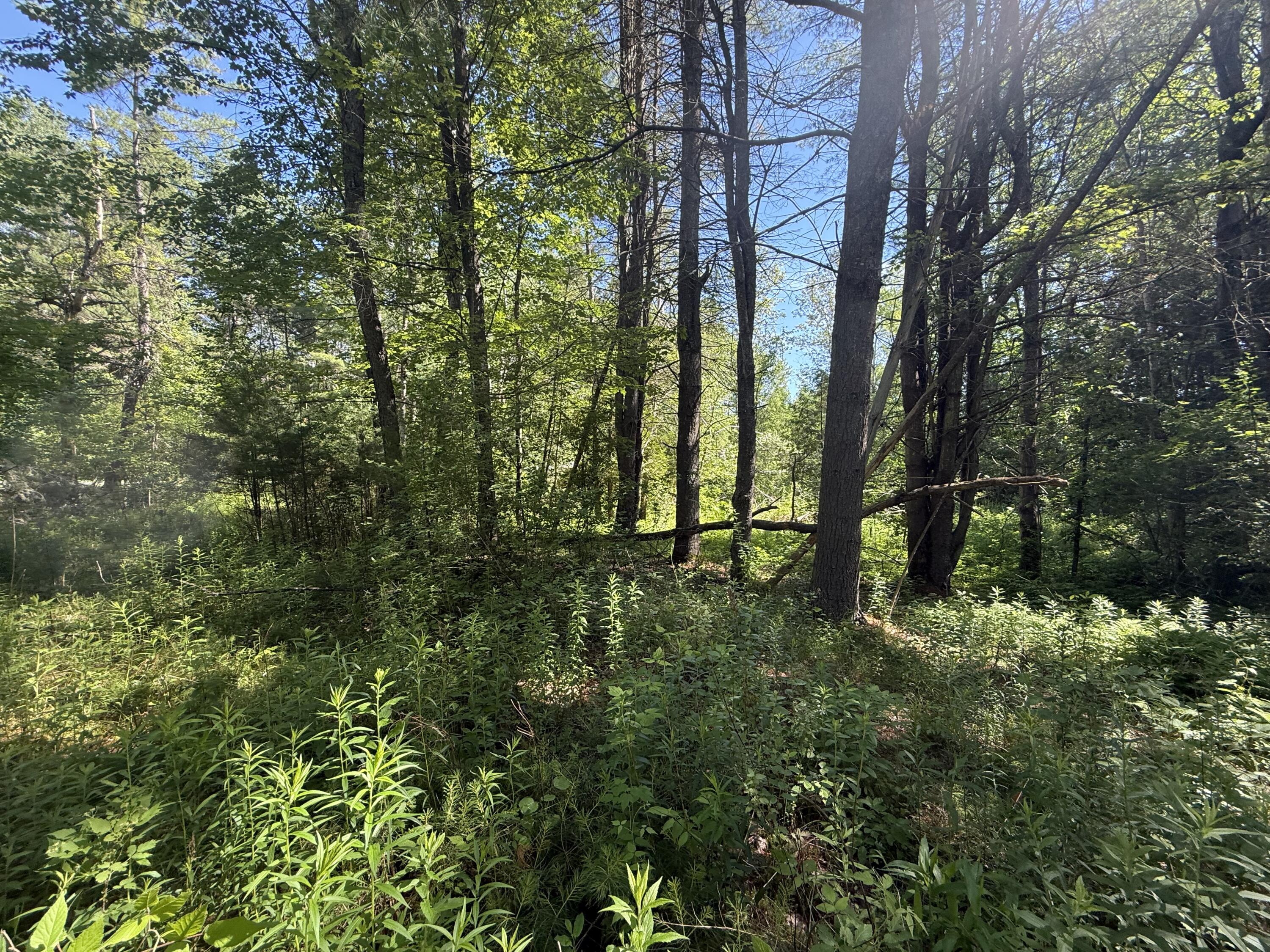 0 Quaker Highlands Road Peru, NY 12972 - Photo 6 of 9