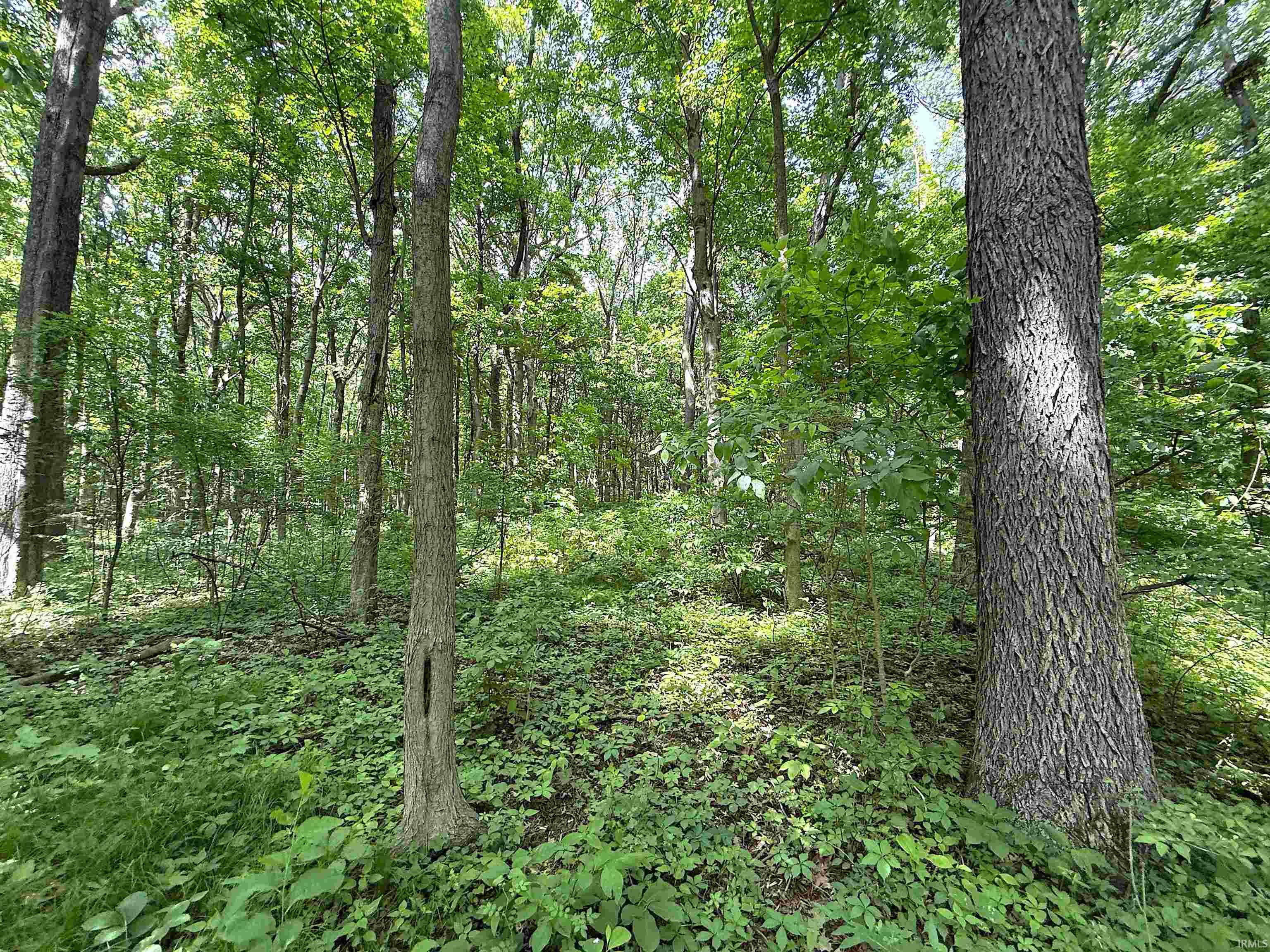18568 6th Road Plymouth, IN 46563 - Photo 31 of 45