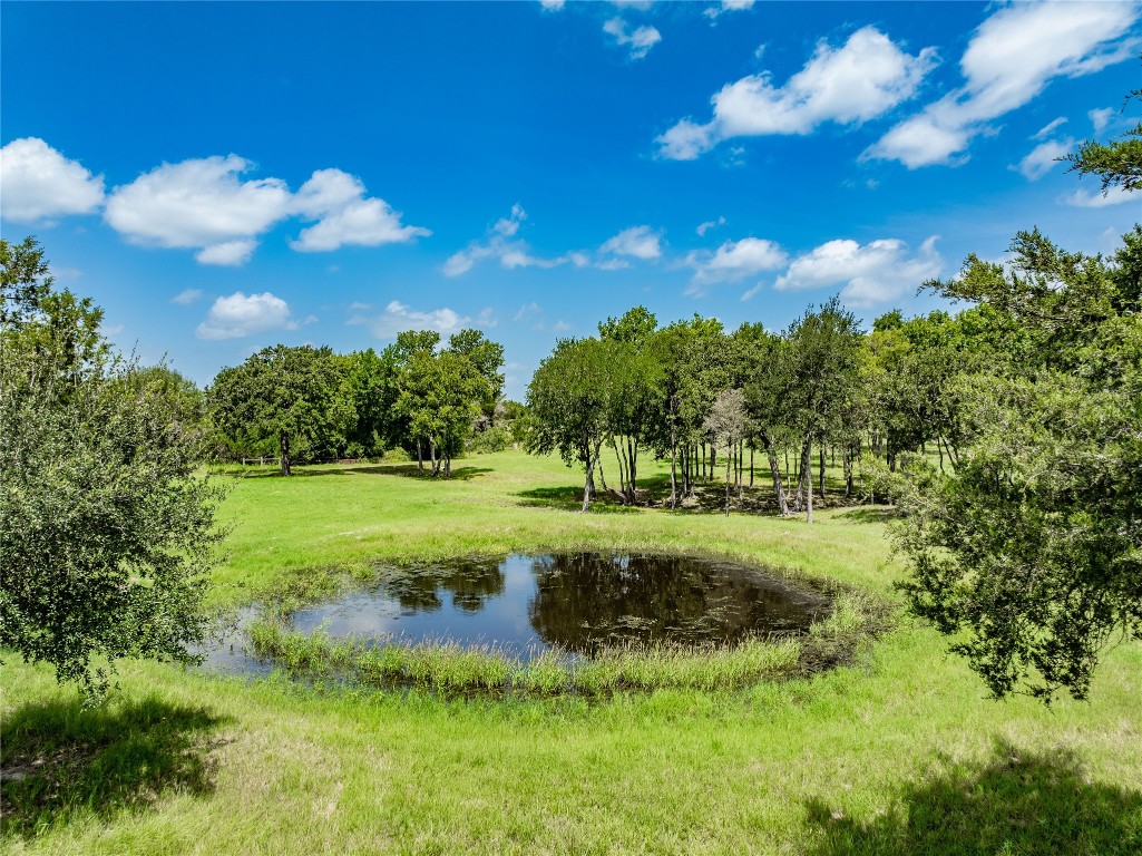 a view of a green field with lots of bushes