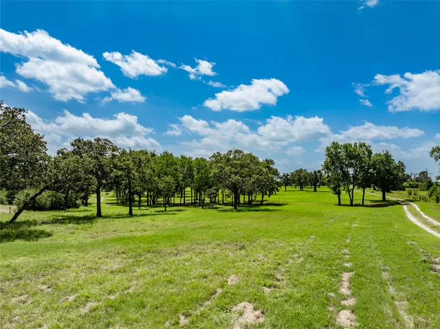 a view of a golf course with a lake