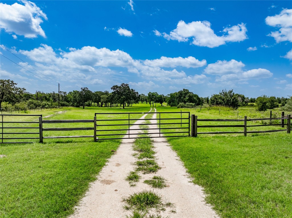 1220 Waldeck Road Ledbetter, TX 78946 - Photo 12 of 14 a view of a park with large trees