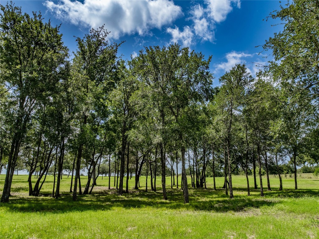 1220 Waldeck Road Ledbetter, TX 78946 - Photo 5 of 14 a view of white house with a yard