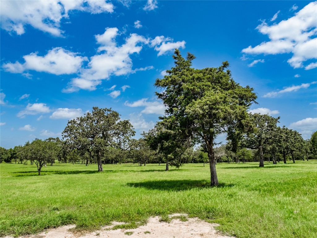 1220 Waldeck Road Ledbetter, TX 78946 - Photo 6 of 14 a view of a park