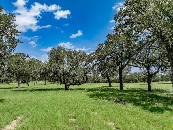 a view of grassy field with benches and trees all around