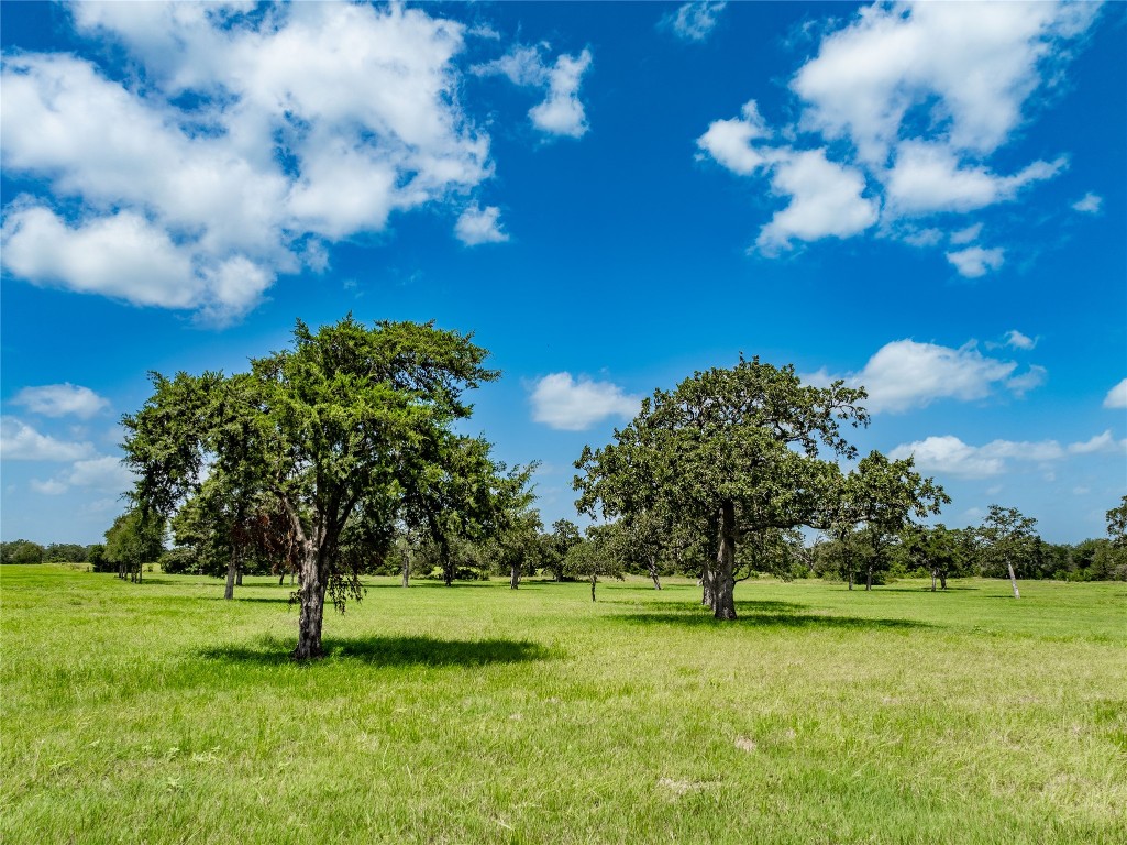 1220 Waldeck Road Ledbetter, TX 78946 - Photo 10 of 14 a view of a trees