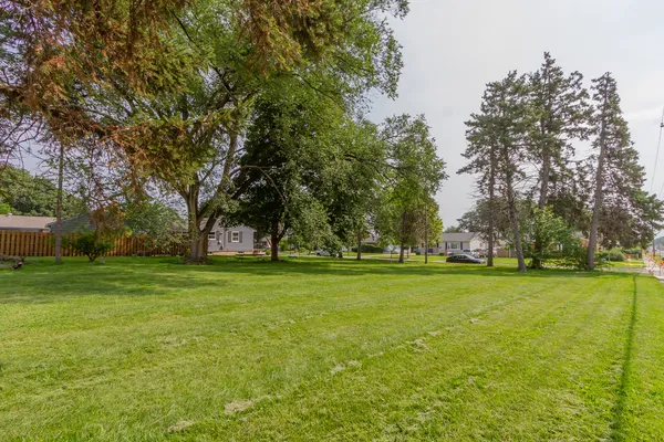 a view of a trees in a yard