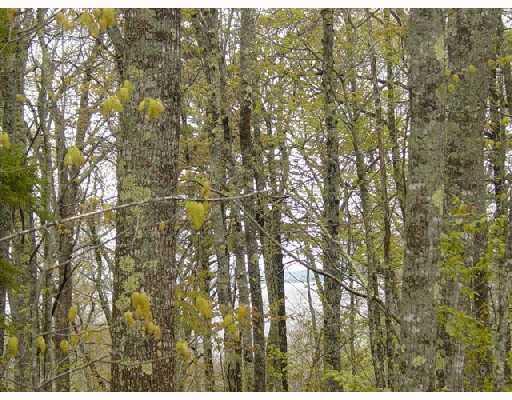 37 Herrick Road Belfast, ME 04915 - Photo 14 of 14 land