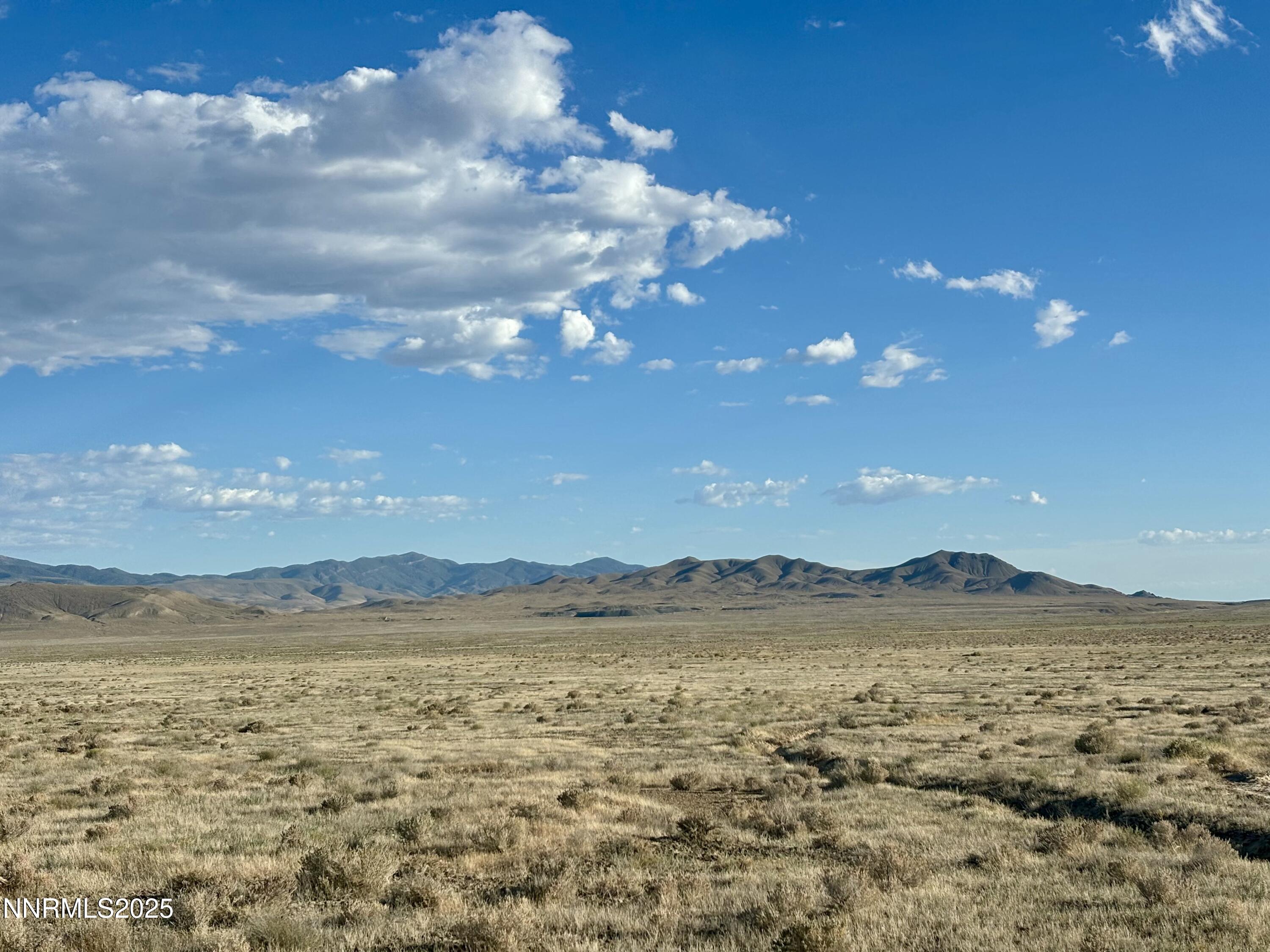 80-acres Inmans Road Lovelock, NV 89419 - Photo 4 of 6