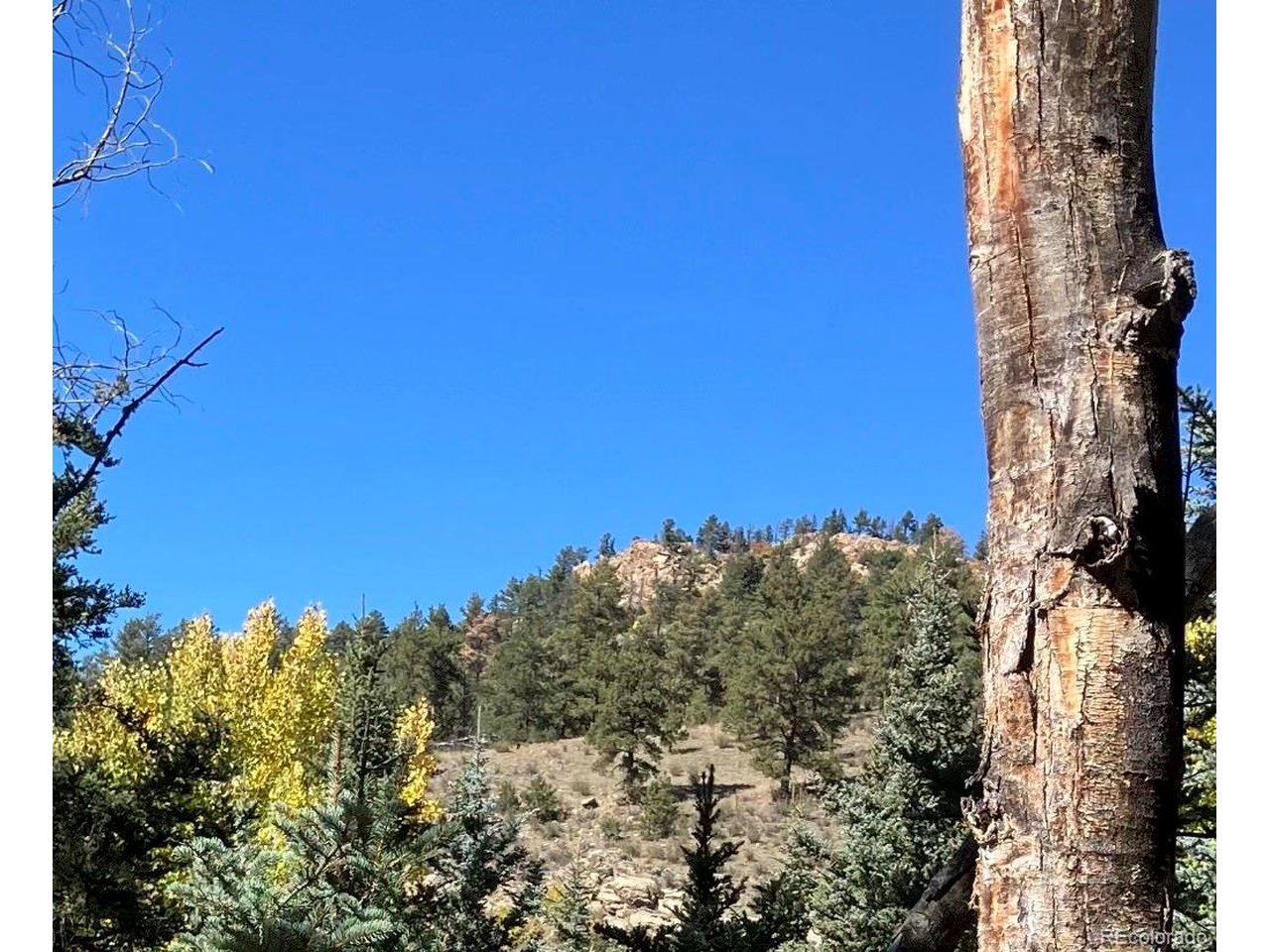 1 Co Road Westcliffe, CO 81252 - Photo 23 of 42 Fall