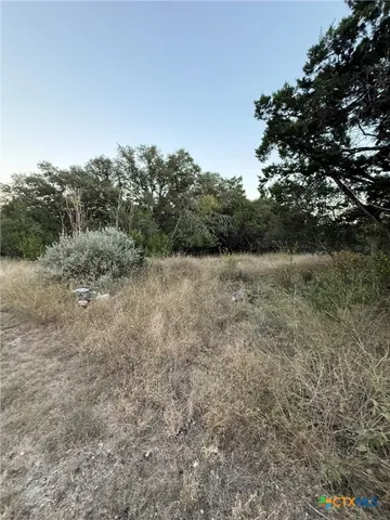 a view of a field with trees in the background