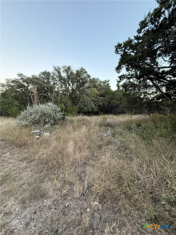a view of a field with trees in the background