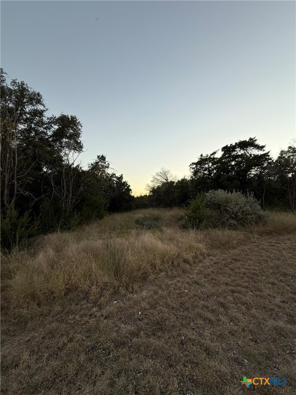 119 Daisy Trail Belton, TX 76513 - Photo 3 of 7 a view of lake with green space