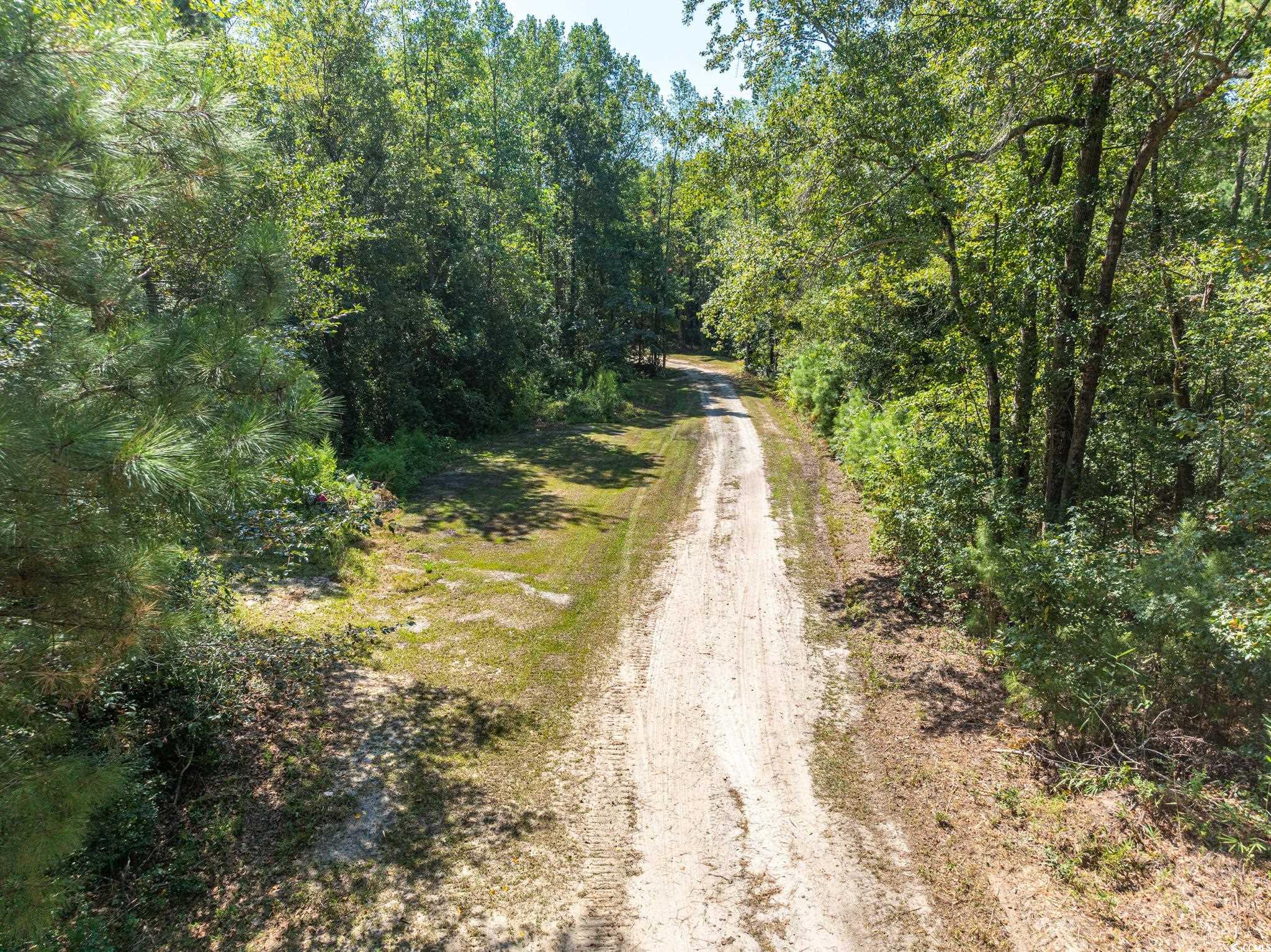 0 No Where Road Clarendon, NC 28432 - Photo 6 of 22 View of street featuring a view of trees